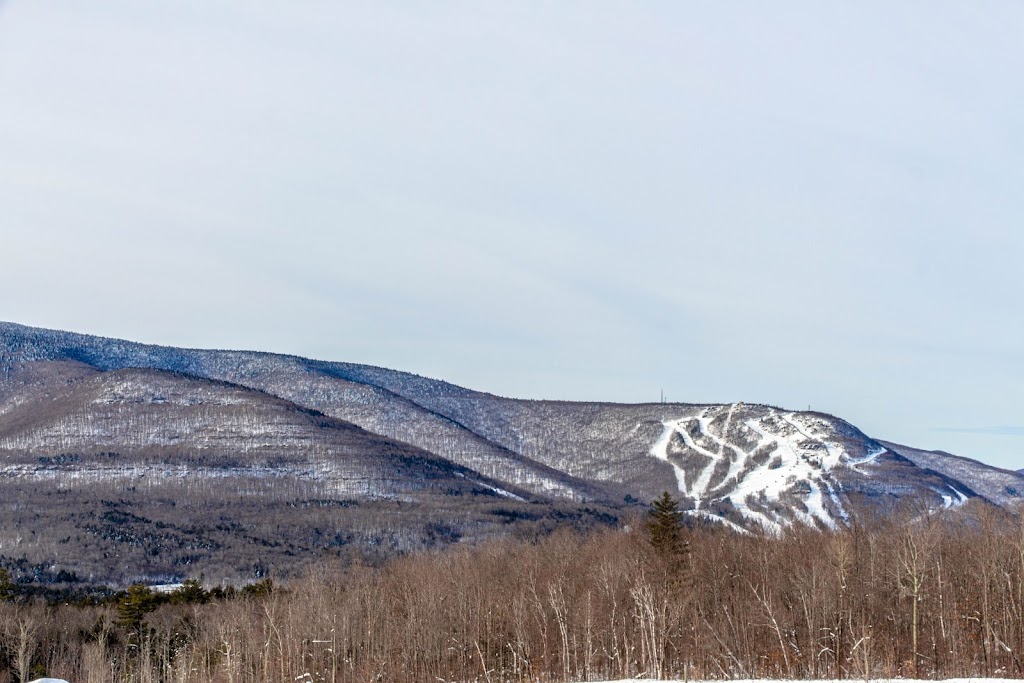 Hunter Mountain Resort | 64 Klein Ave, Hunter, NY 12442, USA | Phone: (800) 486-8376