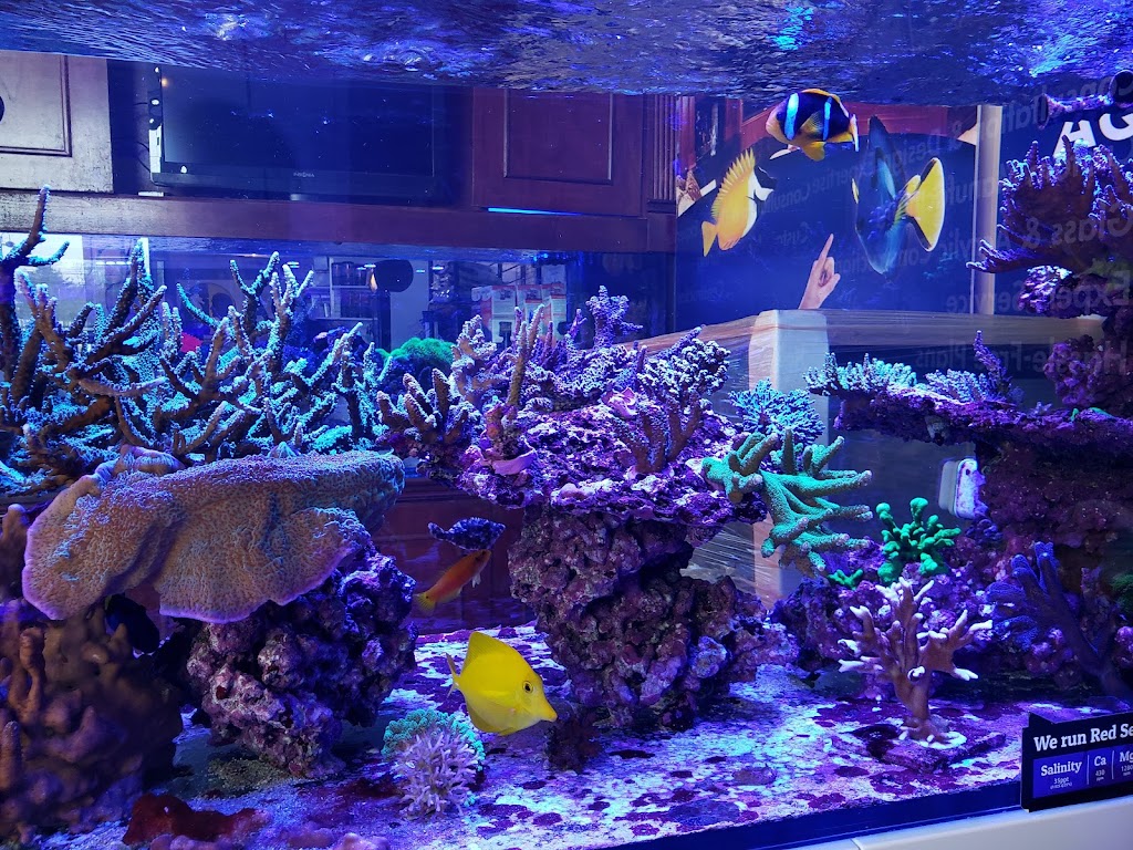 Aquarium Care Center | 1776 Bloomsbury Ave, Ocean Township, NJ 07712, USA | Phone: (800) 519-9211