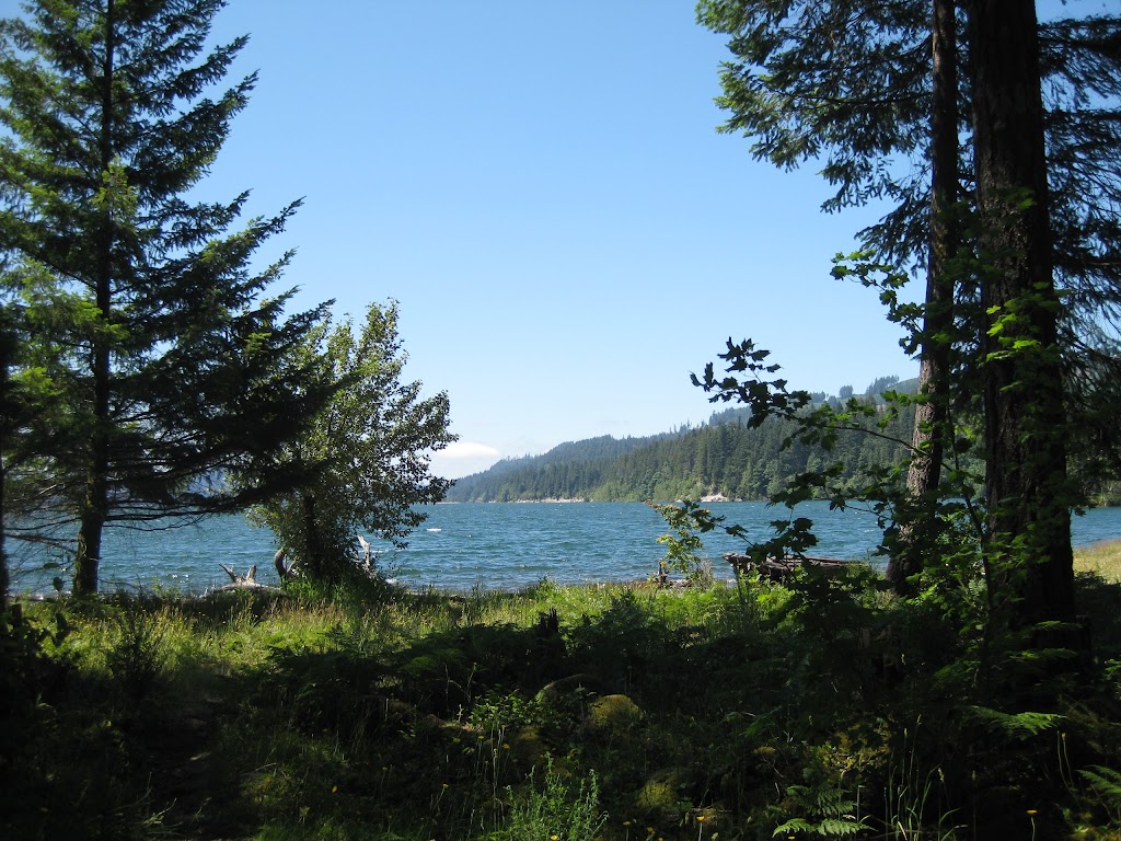 Cougar Park & Campground | 17005 Lewis River Rd, Cougar, WA 98616, USA | Phone: (801) 280-3233