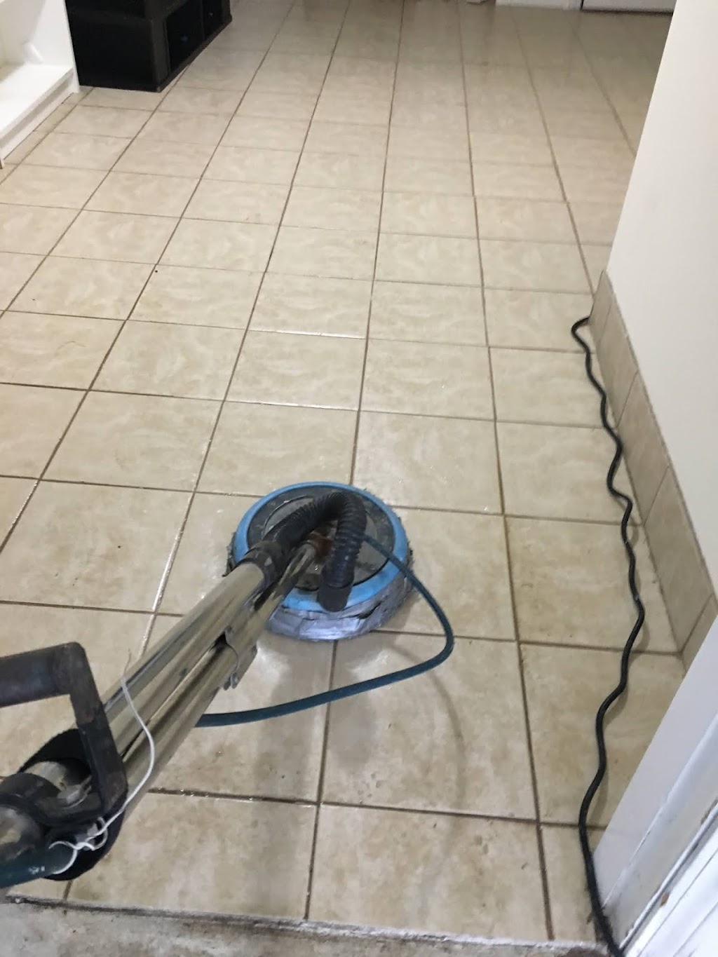 Tanin Carpet Cleaning, Water Damage, Mold Removal Arlington Hts | 1400 E Lillian Ave, Arlington Heights, IL 60004, USA | Phone: (847) 345-4774