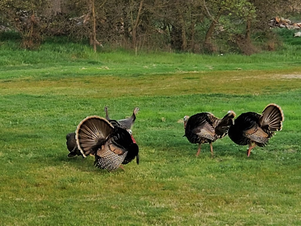 Oak Grove Regional Park | 4520 W Eight Mile Rd, Stockton, CA 95209, USA | Phone: (209) 953-8800