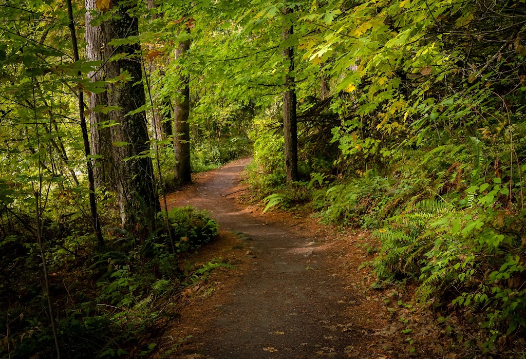 Lucia Falls Regional Park | 21803 NE Lucia Falls Rd, Yacolt, WA 98675, USA | Phone: (360) 397-2446