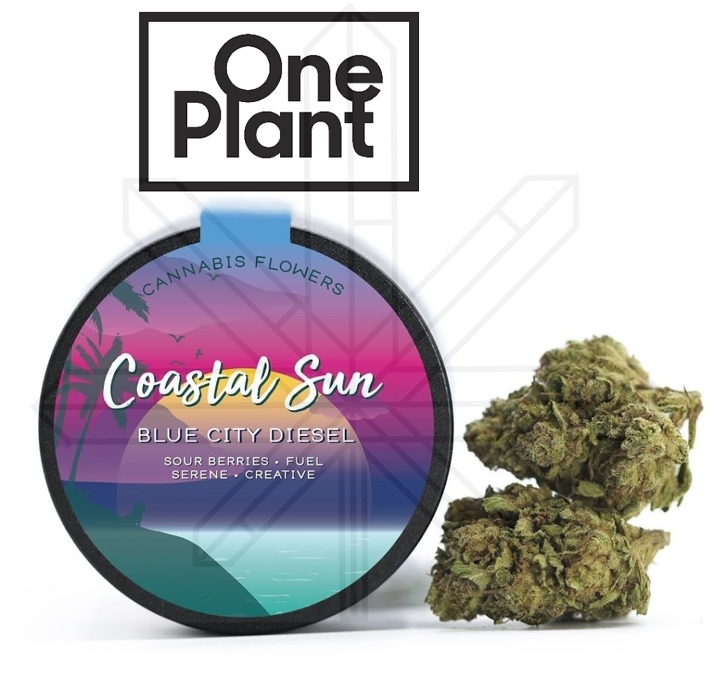 One Plant Delivery - Bay Area | 2701 W 10th St, Antioch, CA 94509, USA | Phone: (925) 339-9948