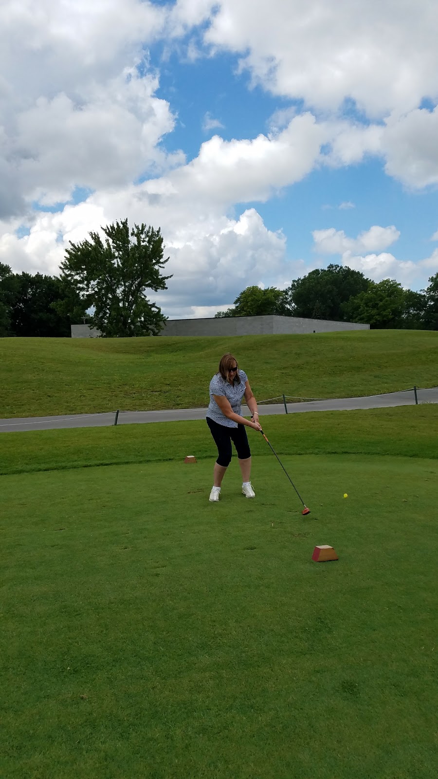 Taylor Meadows Golf Club | 25360 Ecorse Rd, Taylor, MI 48180, USA | Phone: (734) 287-2100