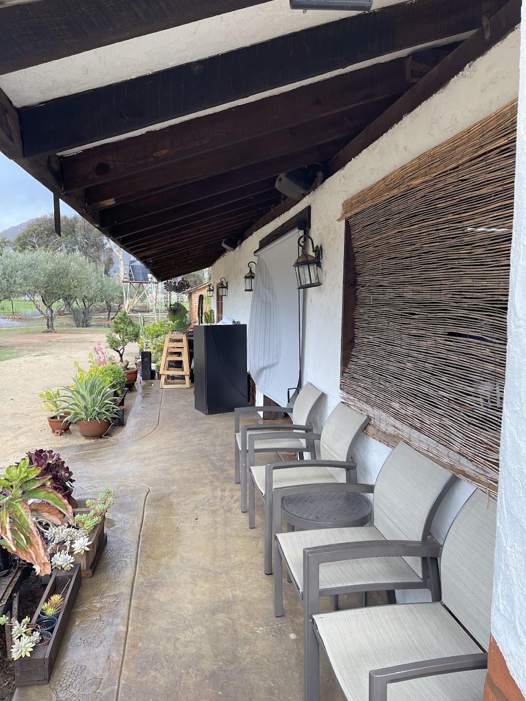 Viñas de Barro | Prol Paseo de los Heroes 13990, Alfonso Coronadel Rosal, 22104 Tijuana, B.C., Mexico | Phone: 664 204 6027