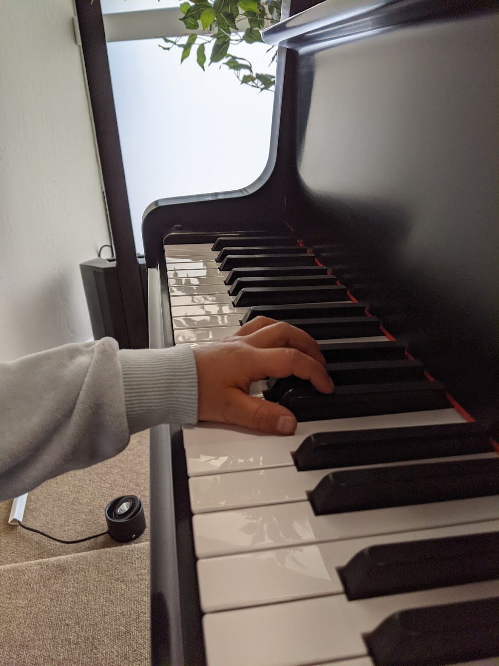 Heavenly Music Academy- Piano lessons | 1541 Palos Verdes Mall, Walnut Creek, CA 94597, USA | Phone: (541) 206-2430