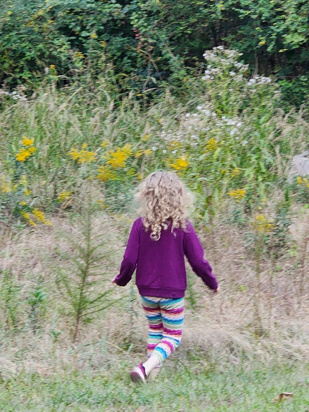 Riverchase Park | 150 River Gln Dr, Woodstock, GA 30188, USA | Phone: (770) 924-7768