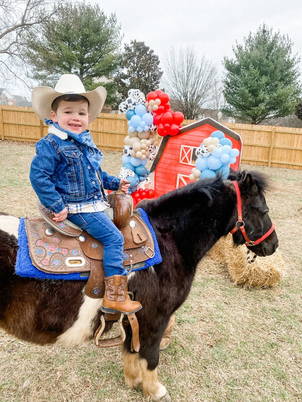 Pony Pals Party Ponies | 4999 Hunter Rd, Ashland City, TN 37015, USA | Phone: (270) 498-1614