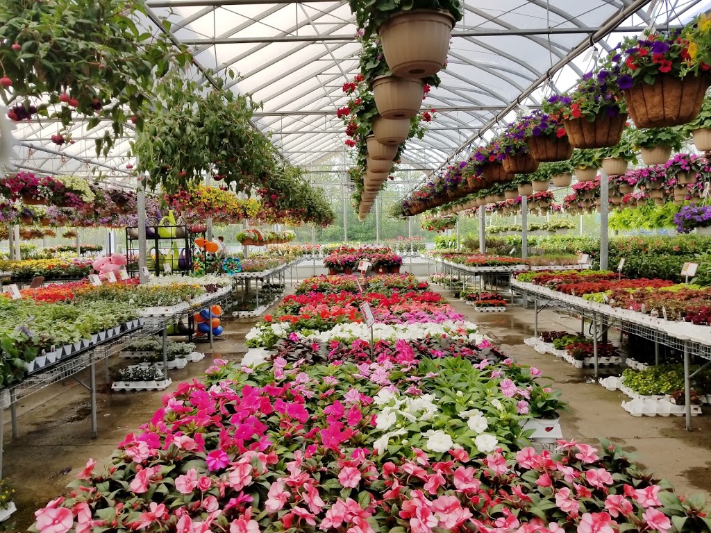 Gullos Garden Center | 4767 Southwestern Blvd, Hamburg, NY 14075, USA | Phone: (716) 646-6111