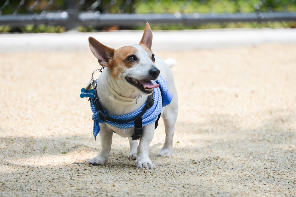 Bronx River Park Dog Run | Bronx Park East &, Boston Rd, Bronx, NY 10462, USA | Phone: (212) 639-9675