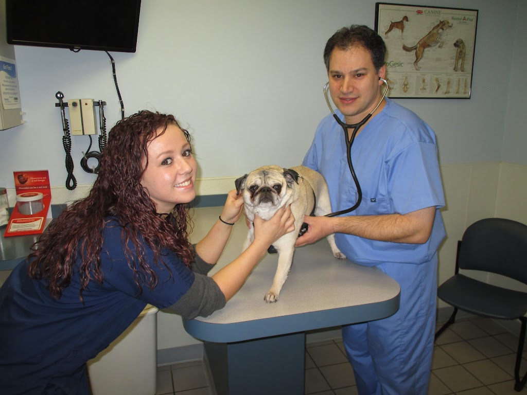 Aberdeen Animal Hospital | 11 E Golf Rd, Des Plaines, IL 60016, USA | Phone: (847) 699-8387