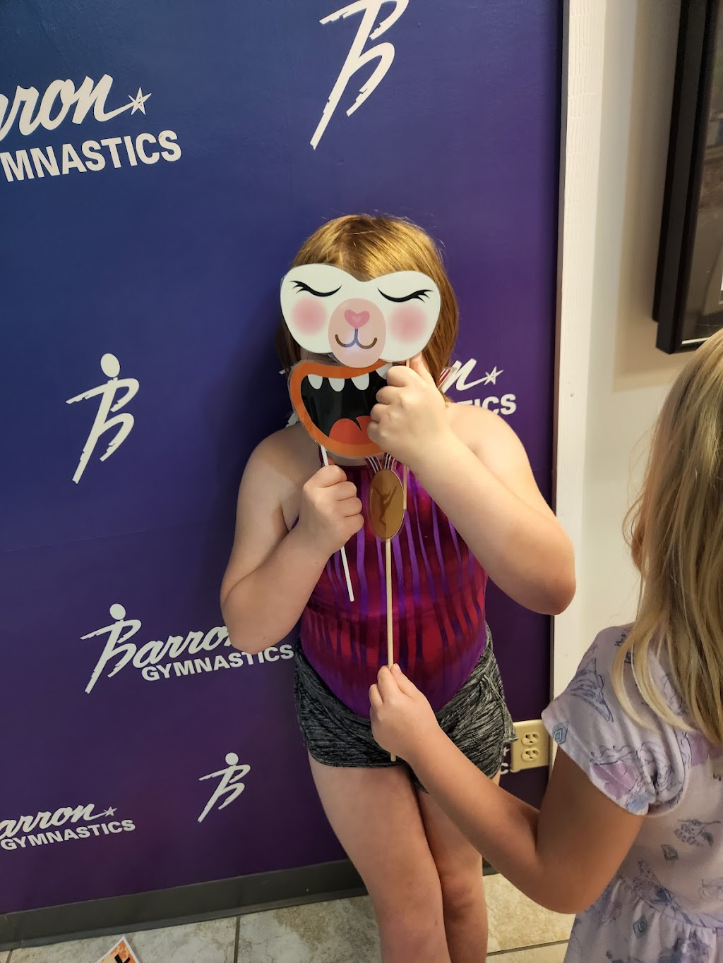 Barron Gymnastics | 5411 Jedmed Ct, St. Louis, MO 63129, USA | Phone: (314) 892-6909