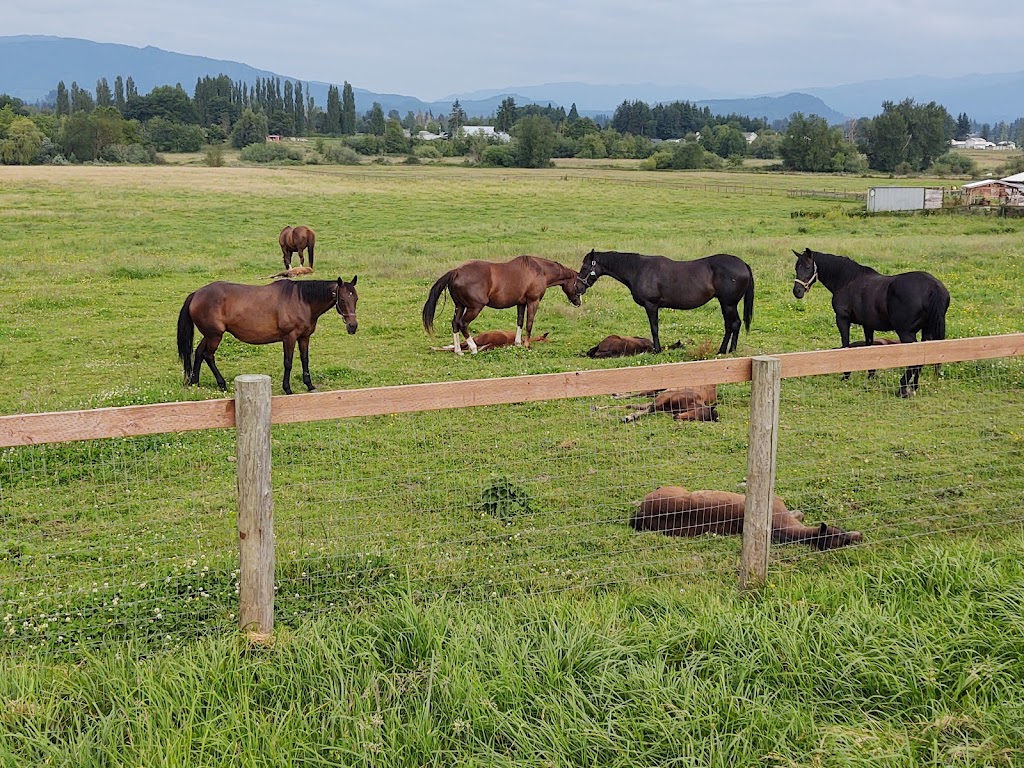 Johnson Family Farm | 21931 SE 424th St, Enumclaw, WA 98022, USA | Phone: (217) 553-4956