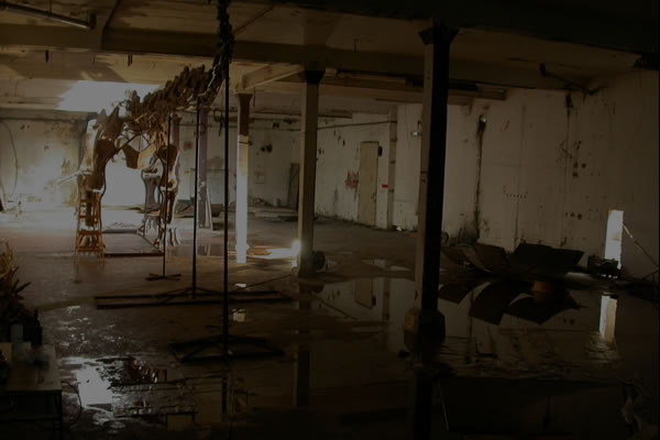 Beyond Waterproofing and Foundation Repair | 25176 Tralee Ct, Damascus, MD 20872, USA | Phone: (301) 674-0125