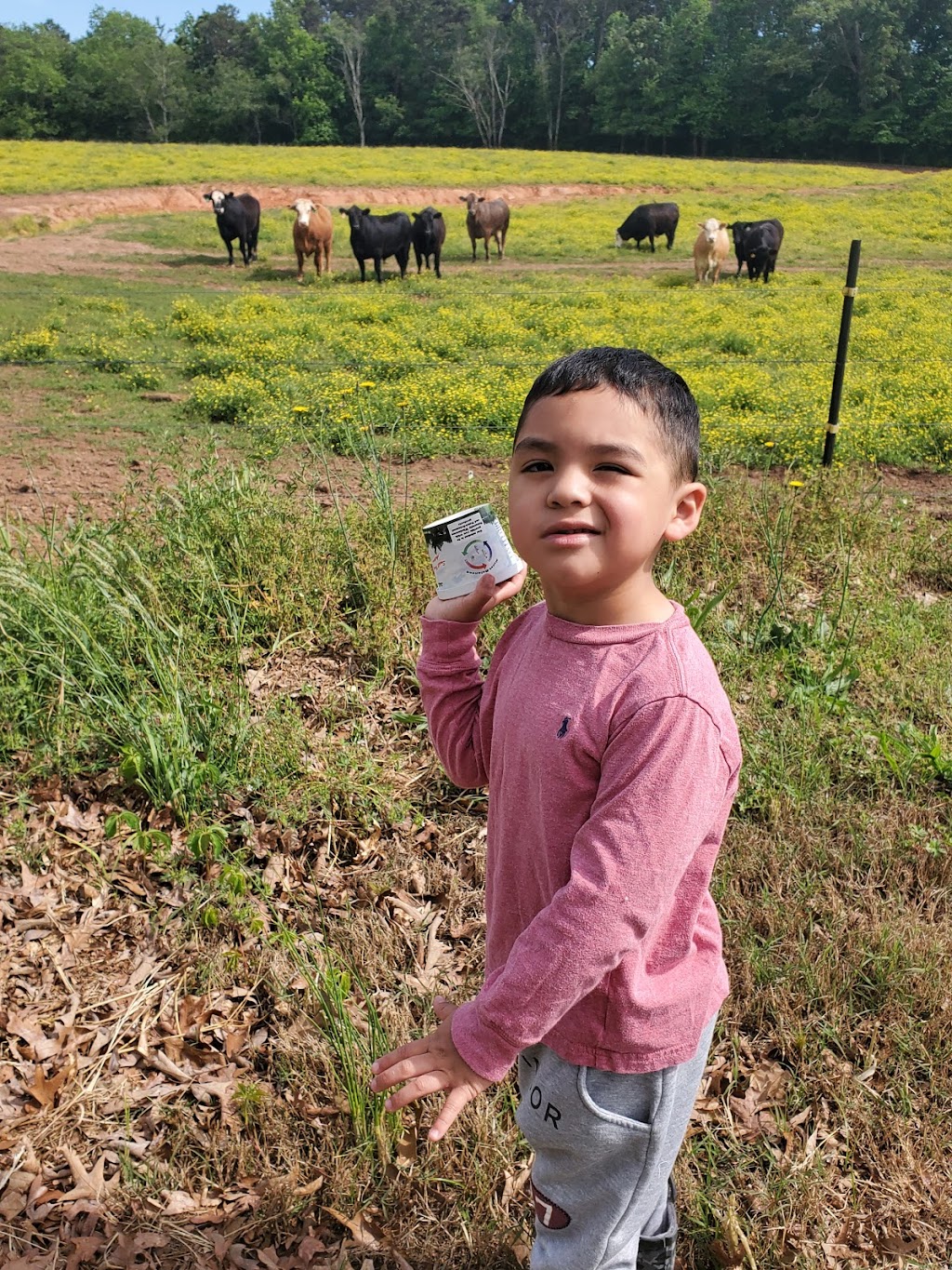 Mills Family Farm | 284 Barfield Rd, Mooresville, NC 28115, USA | Phone: (704) 960-2994