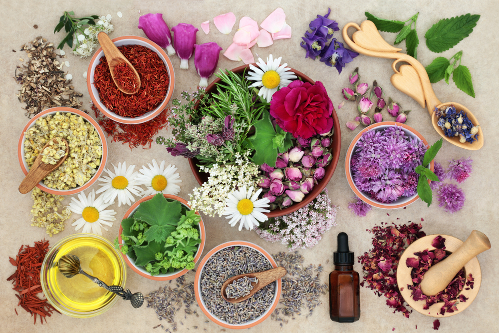 Live Powerfully Ayurveda Natural Health and Healing | 22W550 Poss St, Glen Ellyn, IL 60137, USA | Phone: (630) 460-1211