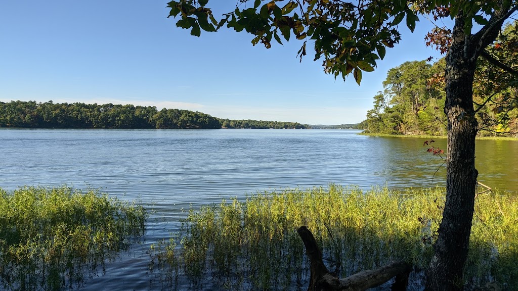 KINGS MOUNTAIN POINT PICNIC PAVILION (NC) (recgovnpsdata) | 398 Kings Mountain Rd, Badin, NC 28127, USA | Phone: (910) 576-6391