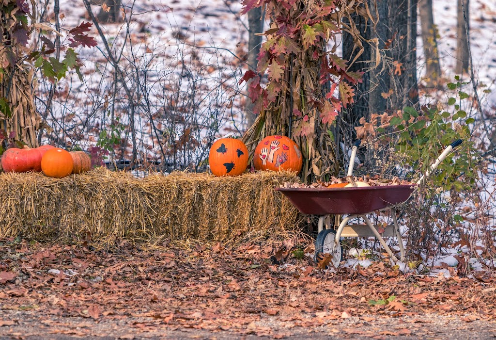 Eastman Nature Center | 13351 Elm Creek Rd, Maple Grove, MN 55369, USA | Phone: (763) 694-7700