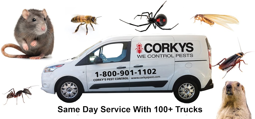 Corkys Pest Control | 909 Rancheros Dr, San Marcos, CA 92069 | Phone: (800) 901-1102