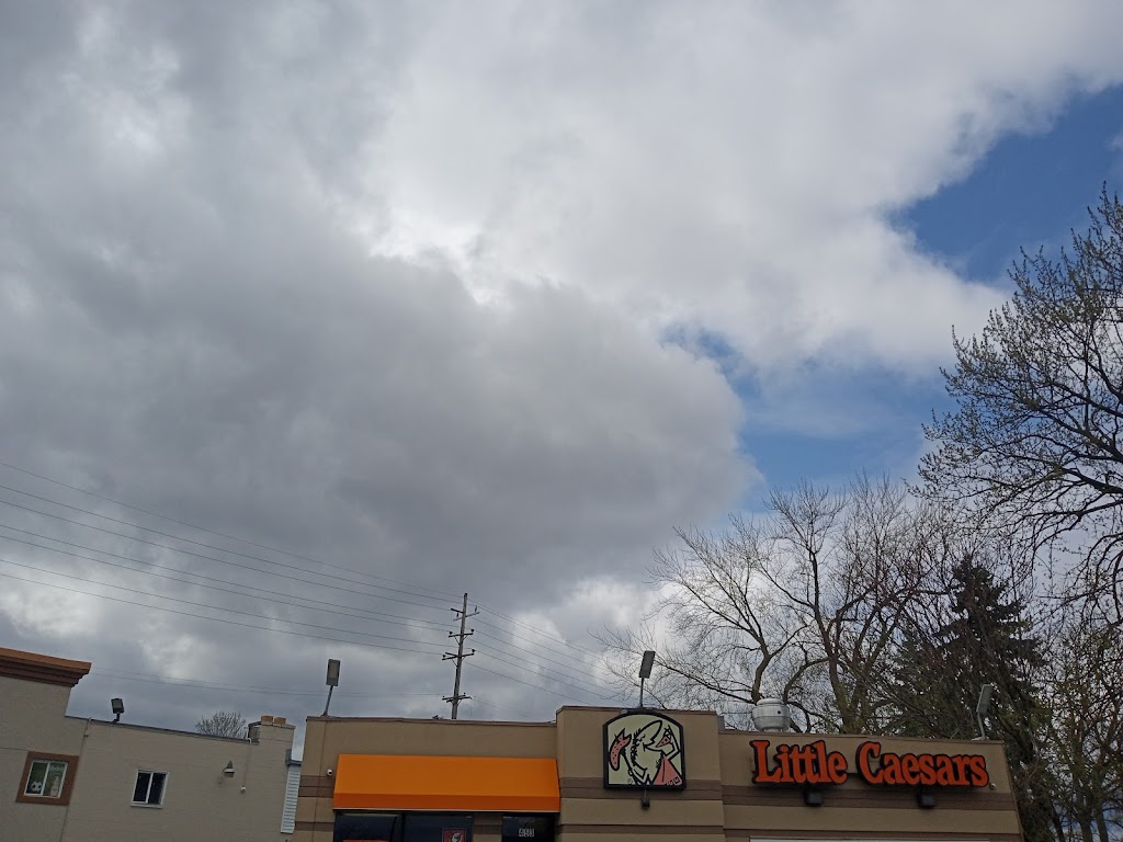 Little Caesars Pizza | 453 Perry St, Pontiac, MI 48342, USA | Phone: (248) 335-6151