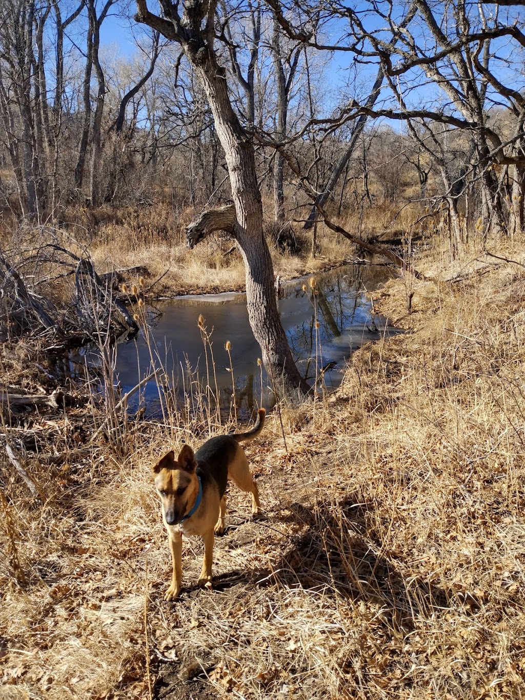 Bear Creek Regional Park | Colorado Springs, CO 80906, USA | Phone: (719) 520-7529