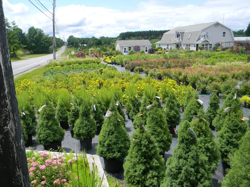 Bobs Trees | 1227 W Galway Rd, Hagaman, NY 12086, USA | Phone: (518) 627-4260