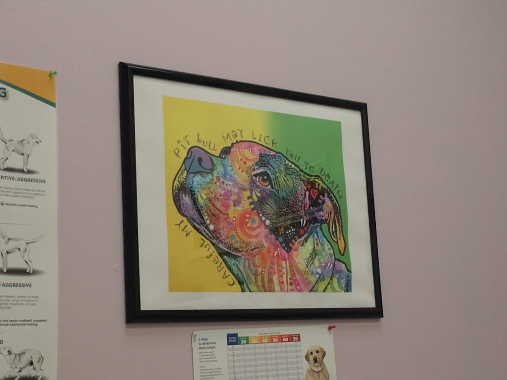 Fountain Valley Animal Hospital | 311 Main St, Colorado Springs, CO 80911, USA | Phone: (719) 392-4213