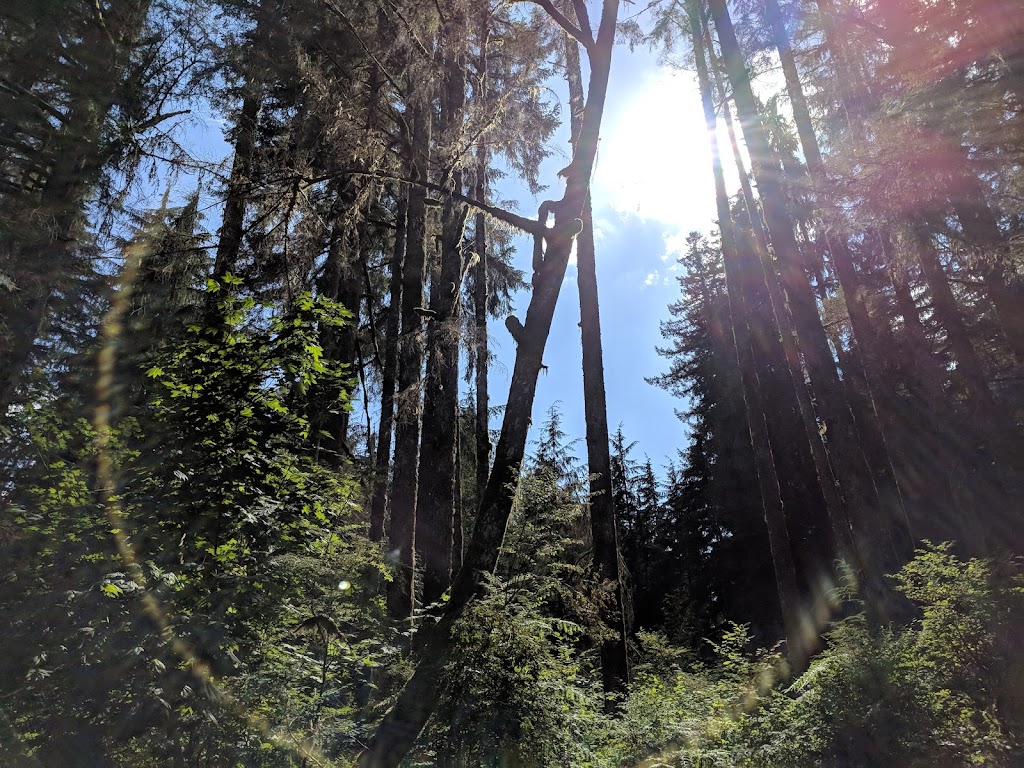 Masonic Park | 24310 Mountain Loop Hwy, Granite Falls, WA 98252, USA | Phone: (360) 691-6641