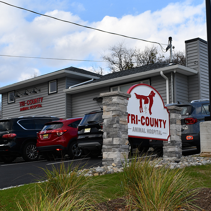 Tri-County Animal Hospital | 1302 Hamburg Tpke, Wayne, NJ 07470, USA | Phone: (973) 831-2426