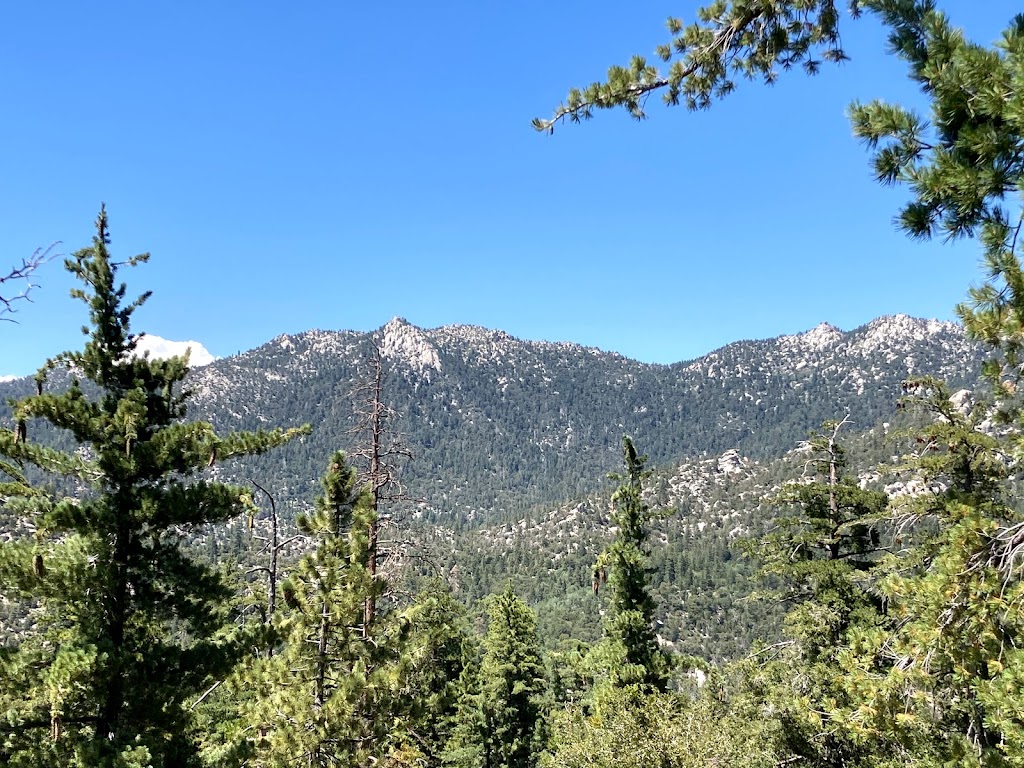 Marion Mountain Campground | 52745 Forest Rte 4S02, Idyllwild-Pine Cove, CA 92549, USA | Phone: (909) 382-2922