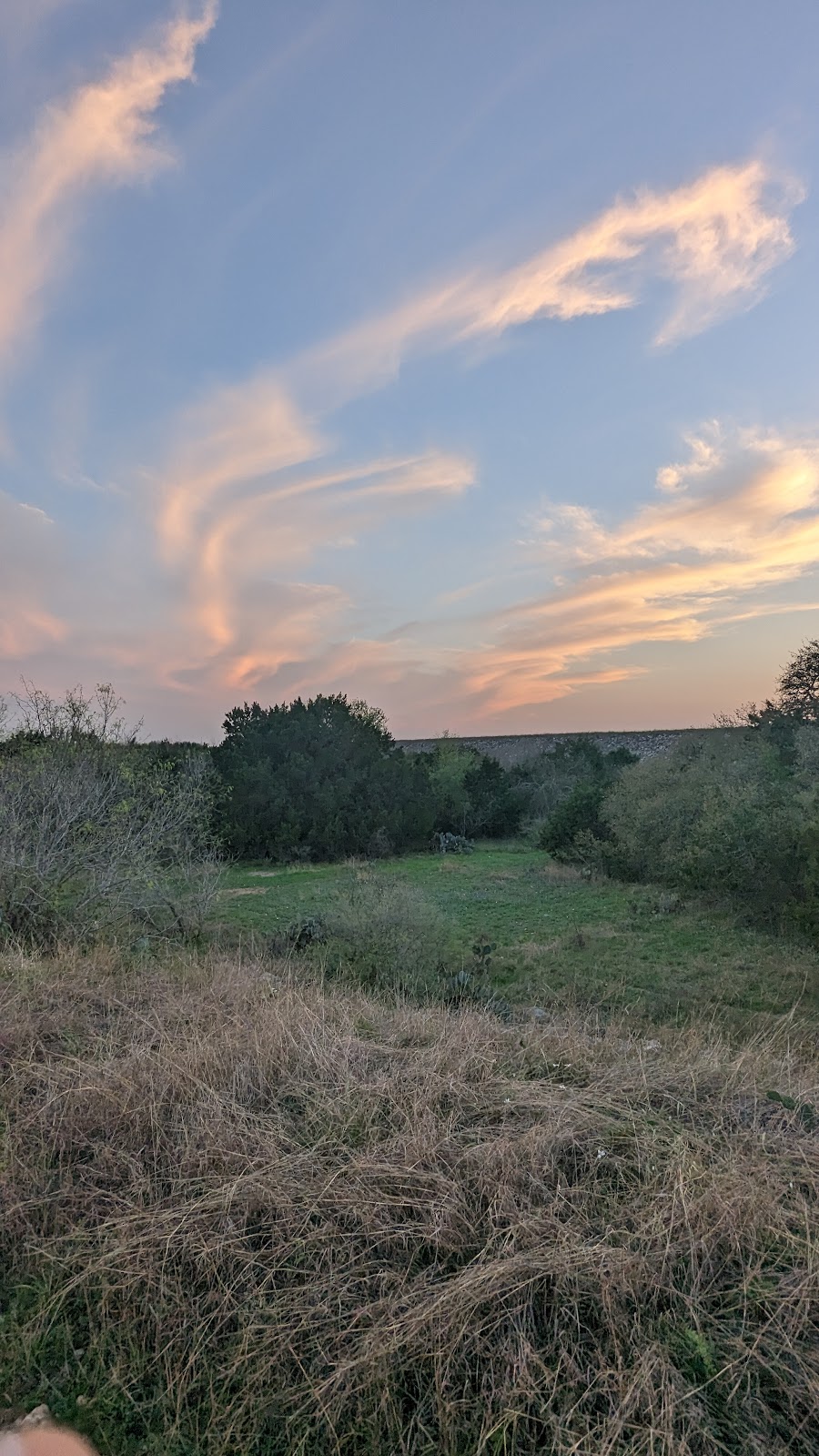 Purgatory Creek Natural Area | 2102 Hunter Road, San Marcos, TX 78666, USA | Phone: (512) 393-8400