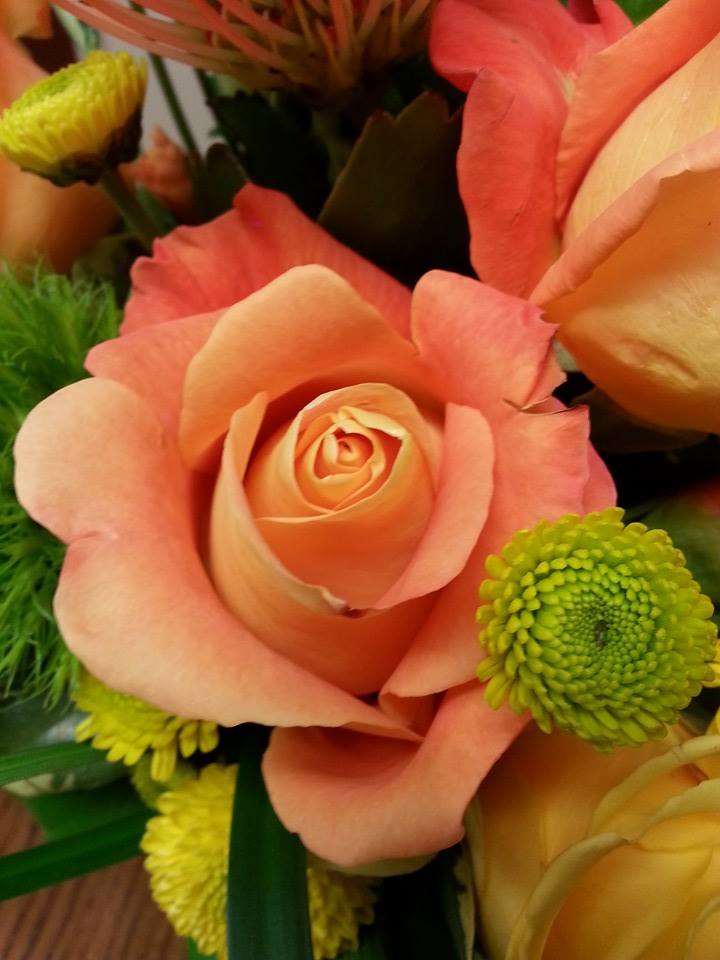 Jerome Florist | 3724 E Tremont Ave, The Bronx, NY 10465, USA | Phone: (718) 931-9440