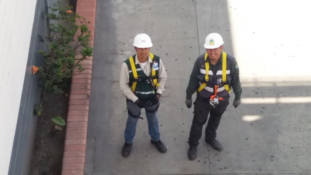 REX Fumigaciones | Paseo Playas de Tijuana 1852, Playas, Jardines del Sol, 22505 Tijuana, B.C., Mexico | Phone: 664 680 9185