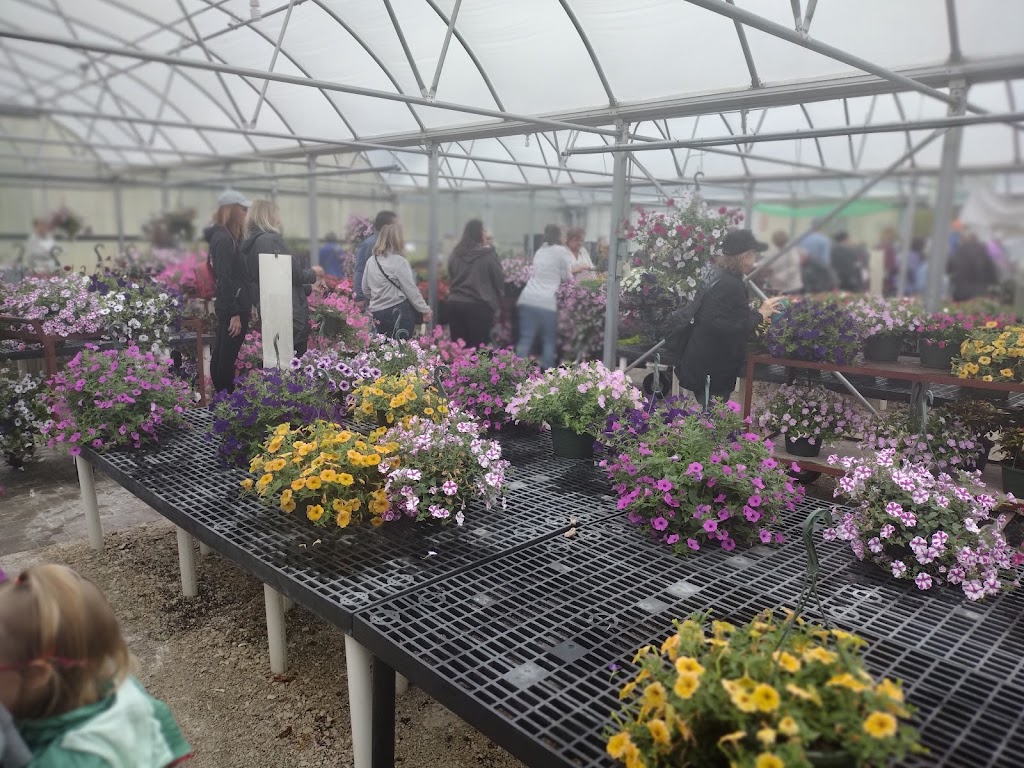 Wasaukee Plant Market | 9820 Wasaukee Rd, Mequon, WI 53097, USA | Phone: (262) 242-6215