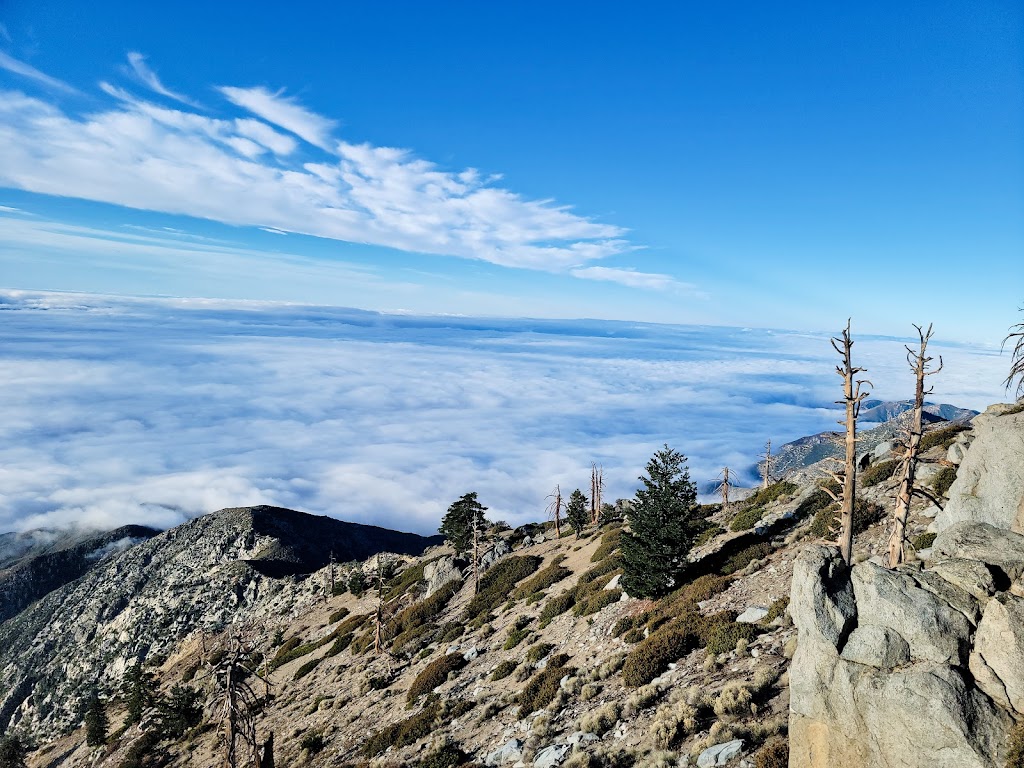 Cucamonga Wilderness | W Cucamonga Truck Trail, Lytle Creek, CA 92358, USA | Phone: (909) 382-2851