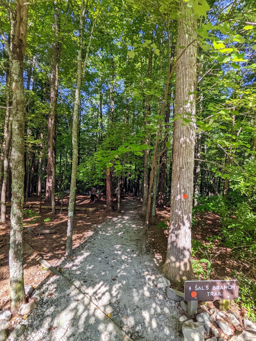 Sals Branch Trail | Unnamed Road, Raleigh, NC 27617, USA | Phone: (919) 571-4170