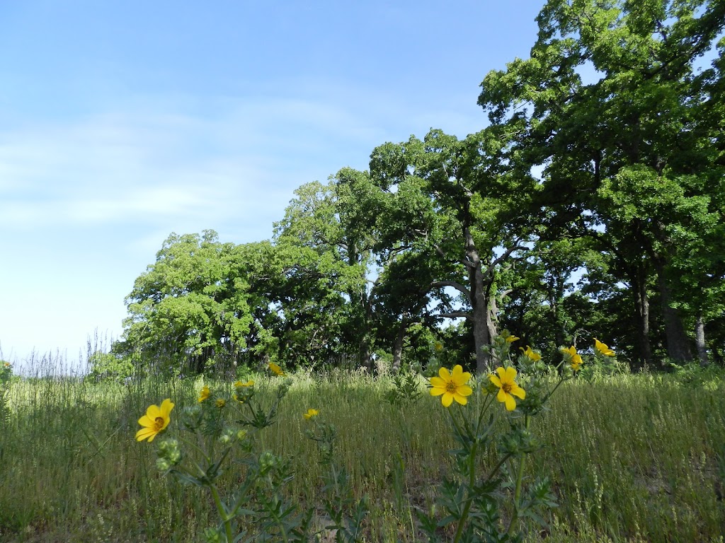 Poetry Shooting Club | 20495 TX-34, Terrell, TX 75161, USA | Phone: (214) 728-2755