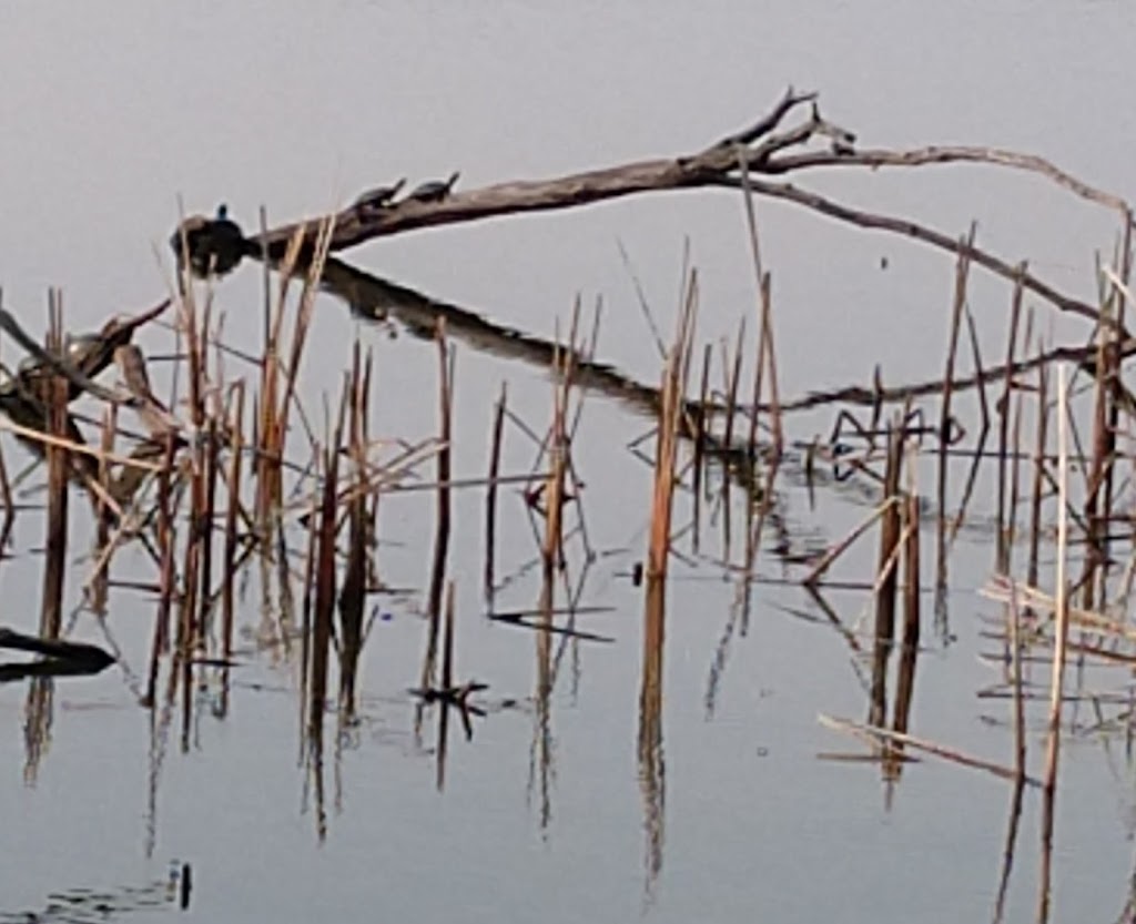 Strickers Pond Conservation Park | 7214 Longmeadow Rd, Madison, WI 53717 | Phone: (608) 266-4711