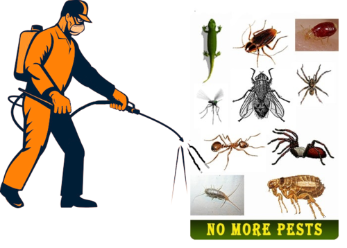 Cridder Ridder Wildlife and Pest Control | 9001 S Linder Rd, Meridian, ID 83642, USA | Phone: (208) 996-9841