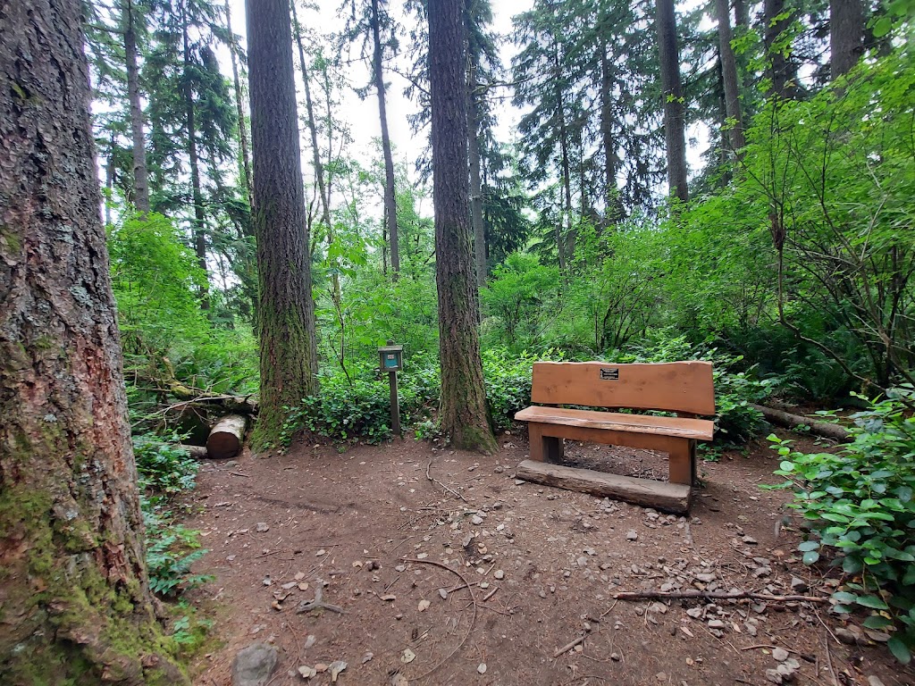 Wilderness Peak | Wilderness Peak Trail, Renton, WA 98059, USA | Phone: (206) 477-4527