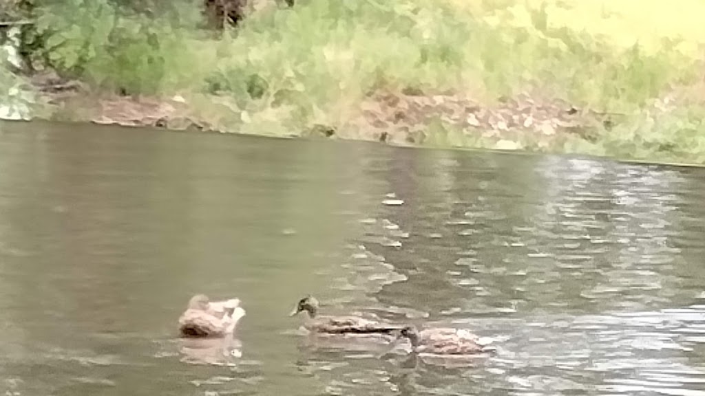 Lowell Ponds State Wildlife Area | 5515 Lowell Blvd, Denver, CO 80221, USA | Phone: (303) 291-7227