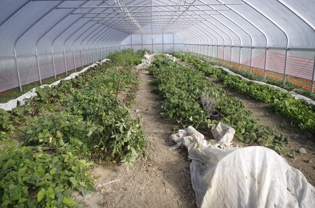 Boulder Belt Eco-Farm | 3257 US-127, Eaton, OH 45320, USA | Phone: (937) 683-3819