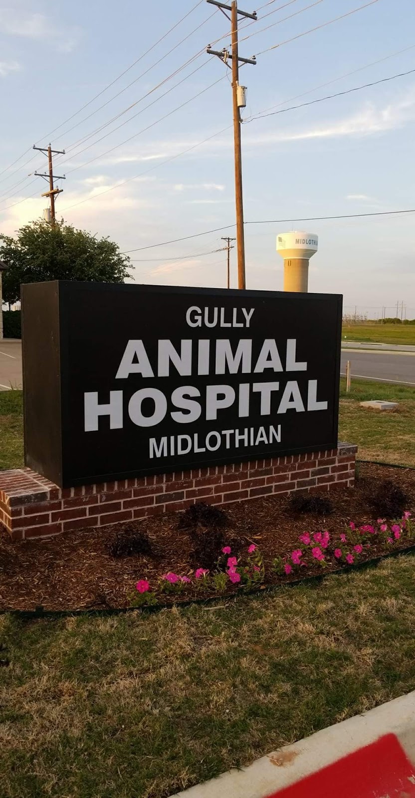 Gully Animal Hospital of Midlothian | 114 Roundabout Dr, Midlothian, TX 76065, USA | Phone: (469) 612-5130