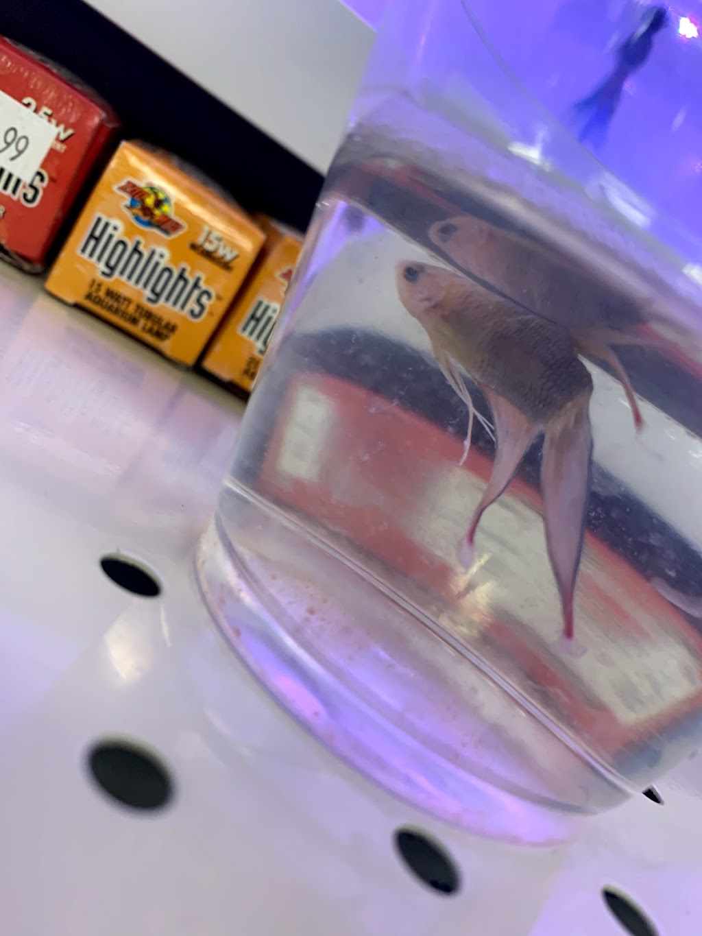 Pet Station North Reno | 1075 N Hills Blvd #240, Reno, NV 89506, USA | Phone: (775) 686-6607