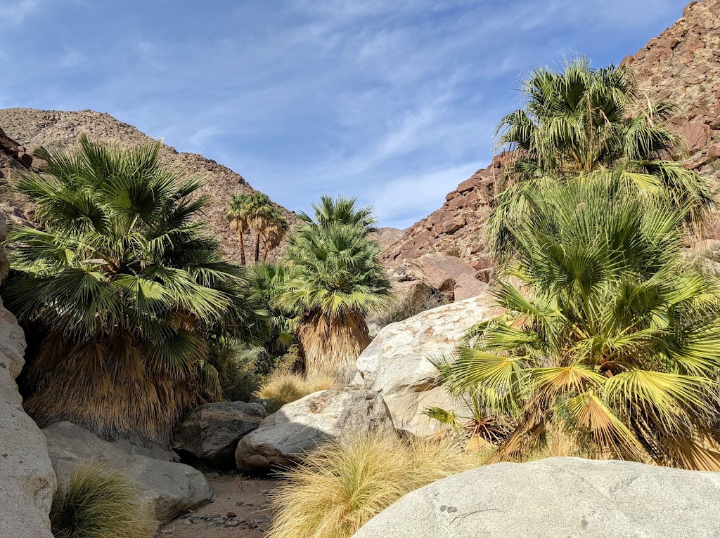 Borrego Palm Canyon Trailhead & Parking | Unnamed Road, Borrego Springs, CA 92004, USA | Phone: (760) 767-4037