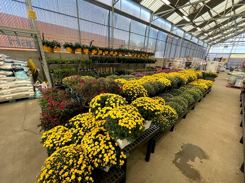 Walmart Garden Center | 8250 Razorback Rd, Colorado Springs, CO 80920, USA | Phone: (719) 593-2300