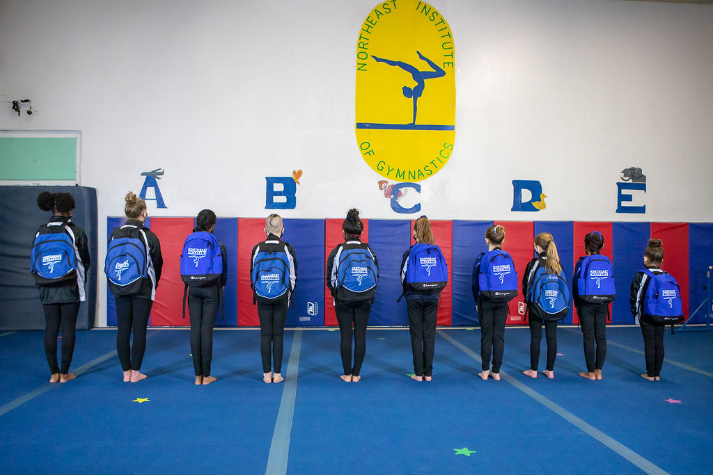 Northeast Institute Of Gymnastics Inc | 1237 Central Ave, Albany, NY 12205, USA | Phone: (518) 261-9987