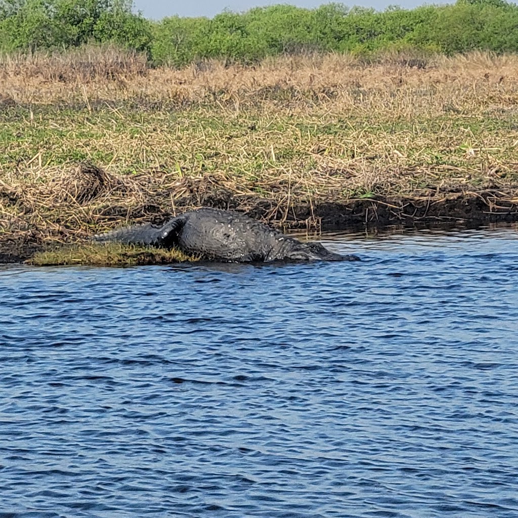 Wind Walker Airboat Charters | 8190 FL-520, Cocoa, FL 32926, USA | Phone: (321) 423-1447