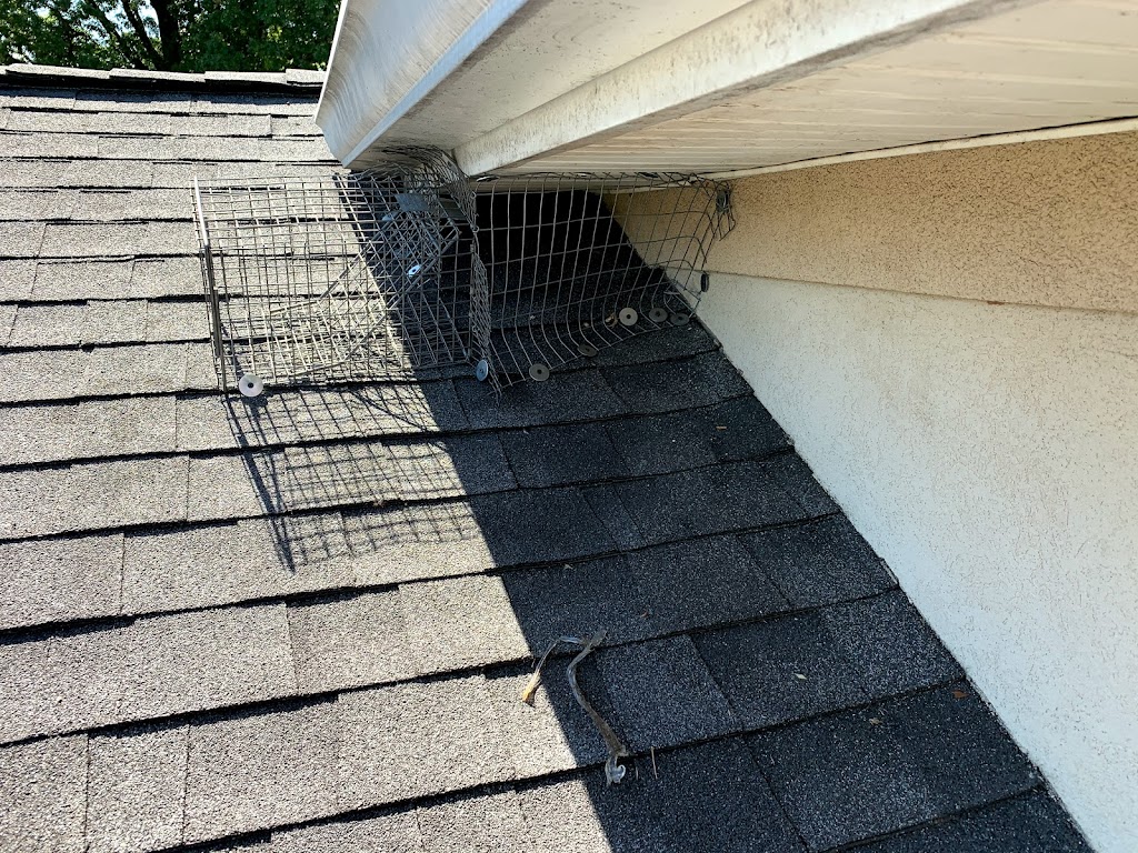 Reliable pest and animal control | 178 Behnke Ave, Paramus, NJ 07652 | Phone: (201) 986-2877