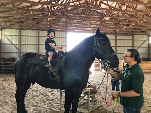Project Hope Equine Assisted Therapy | 6645 Township Rd 215, Findlay, OH 45840, USA | Phone: (419) 324-2221